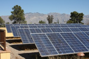 Living Roof Solar Panels