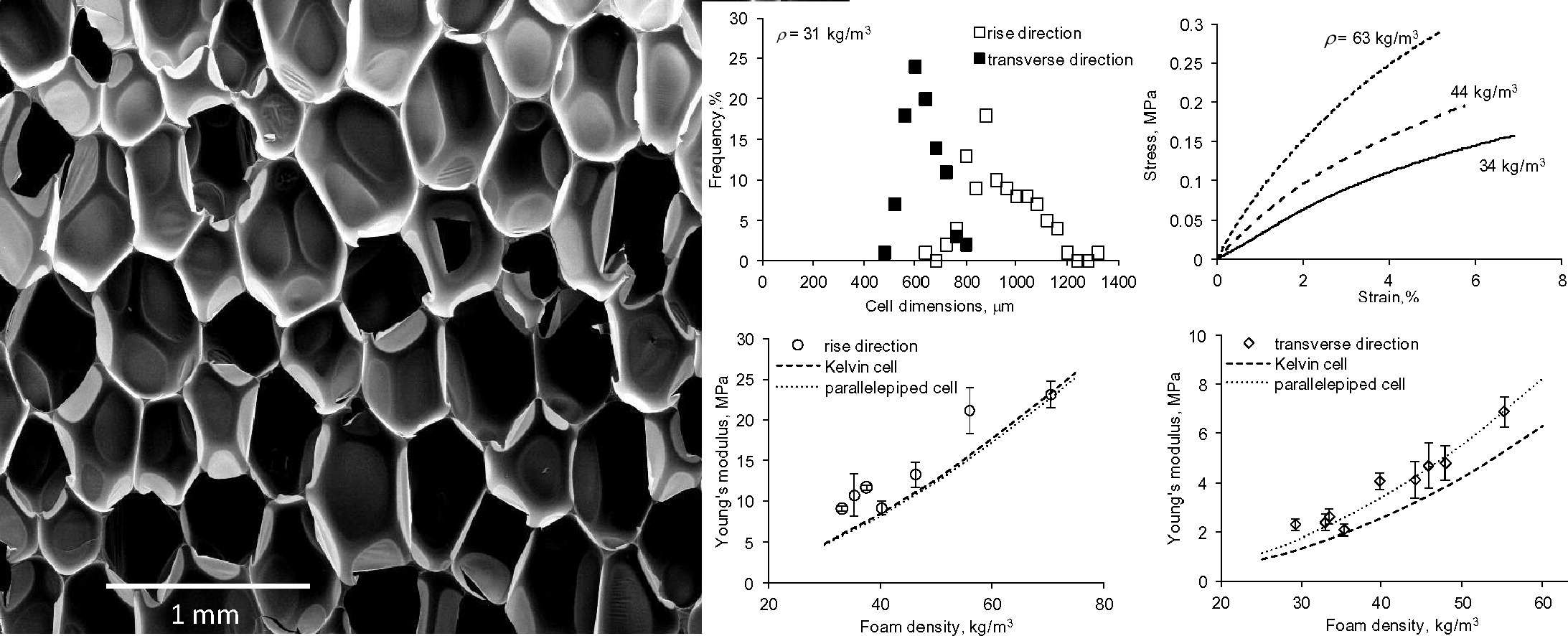 open celled foam